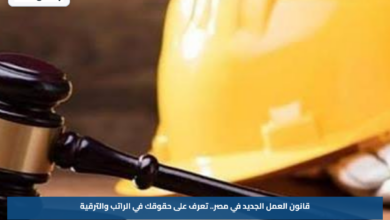 قانون العمل الجديد في مصر.. تعرف على حقوقك في الراتب والترقية