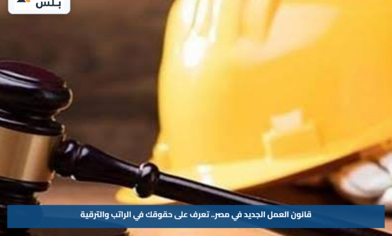 قانون العمل الجديد في مصر.. تعرف على حقوقك في الراتب والترقية