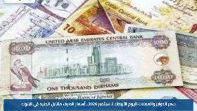 سعر الدولار والعملات اليوم الأربعاء 2 سبتمبر 2026.. أسعار الصرف مقابل الجنيه في البنوك