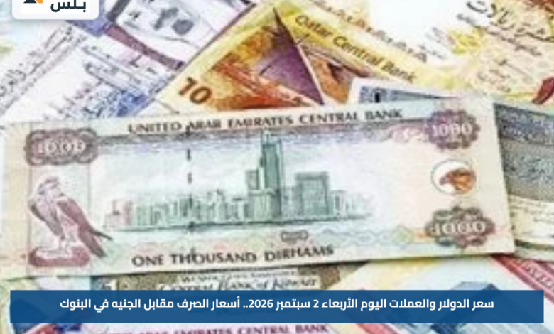 سعر الدولار والعملات اليوم الأربعاء 2 سبتمبر 2026.. أسعار الصرف مقابل الجنيه في البنوك