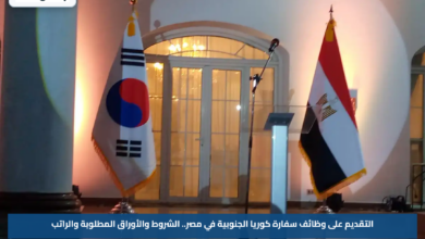 التقديم على وظائف سفارة كوريا الجنوبية في مصر.. الشروط والأوراق المطلوبة والراتب