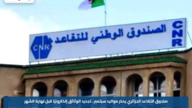 صندوق التقاعد الجزائري يحذر مواليد سبتمبر.. تجديد الوثائق إلكترونيًا قبل نهاية الشهر