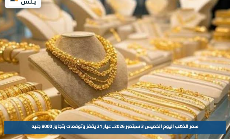 سعر الذهب اليوم الخميس 3 سبتمبر 2026.. عيار 21 يقفز وتوقعات بتجاوز 8000 جنيه