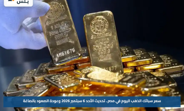 سعر سبائك الذهب اليوم في مصر.. تحديث الأحد 6 سبتمبر 2026 وعودة الصعود بالصاغة