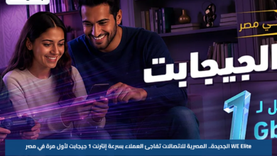 WE Elite الجديدة.. المصرية للاتصالات تفاجئ العملاء بسرعة إنترنت 1 جيجابت لأول مرة في مصر