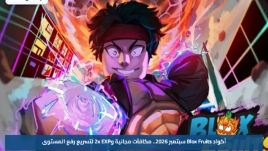 أكواد Blox Fruits سبتمبر 2026.. مكافآت مجانية و2x EXP لتسريع رفع المستوى