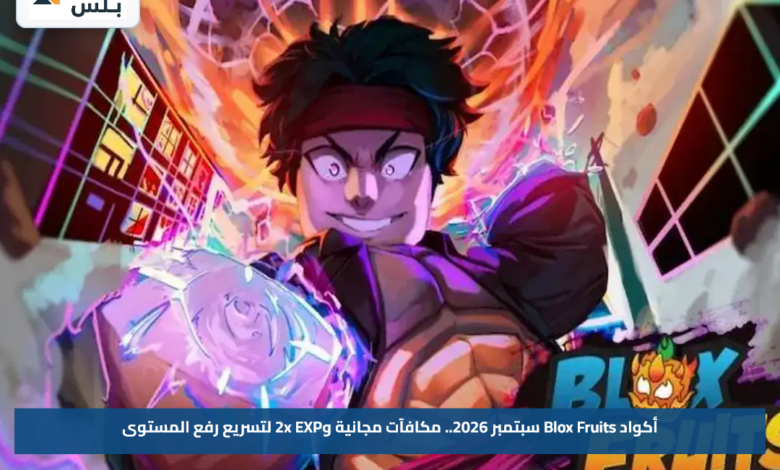 أكواد Blox Fruits سبتمبر 2026.. مكافآت مجانية و2x EXP لتسريع رفع المستوى