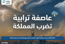 حالة الطقس في السعودية اليوم.. أمطار رعدية وسيول وتحذيرات من رياح نشطة