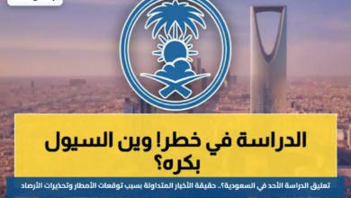 تعليق الدراسة الأحد في السعودية؟.. حقيقة الأخبار المتداولة بسبب توقعات الأمطار وتحذيرات الأرصاد